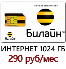  Билайн 290 руб/ мес. -1024 ГБ, 500 мин. в месяц.