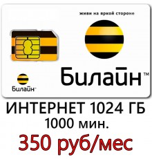 Билайн 350 руб/ мес. -1024 ГБ, 1000 мин. в месяц.