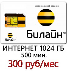  Билайн 300 руб/ мес. -1024 ГБ, 500 мин. в месяц.