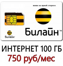 Безлимитный Интернет Билайн 750 руб/мес. 100 ГБ