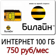 Безлимитный Интернет Билайн 750 руб/мес. 100 ГБ