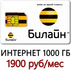 Билайн 1000 ГБ 1900 руб/мес.