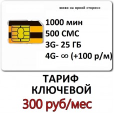  тариф Билайн Ключевой 300