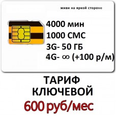 Тариф Билайн Ключевой 600