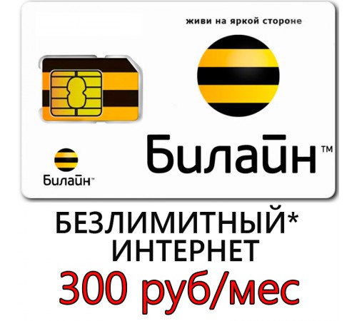 Безлимитный* Билайн 300 руб/ мес. (1000 ГБ в мес.)