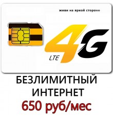 Безлимитный Интернет Билайн 650 руб/мес.
