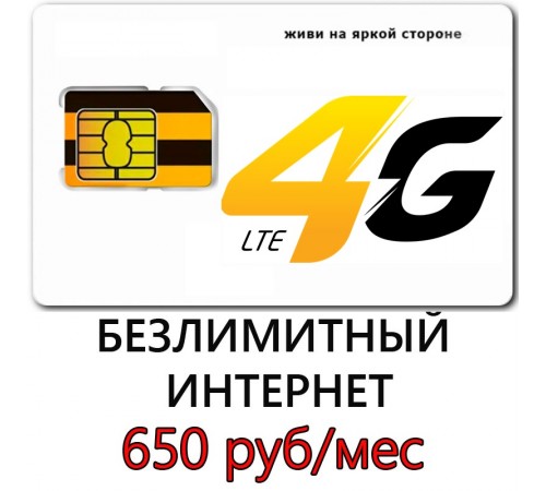 Безлимитный Интернет Билайн 650 руб/мес.