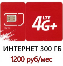 Тариф 300 ГБ в мес. за 1200 руб/мес.