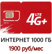 3G/ 4G Интернет 1000 ГБ в мес. - 1900 руб/мес.
